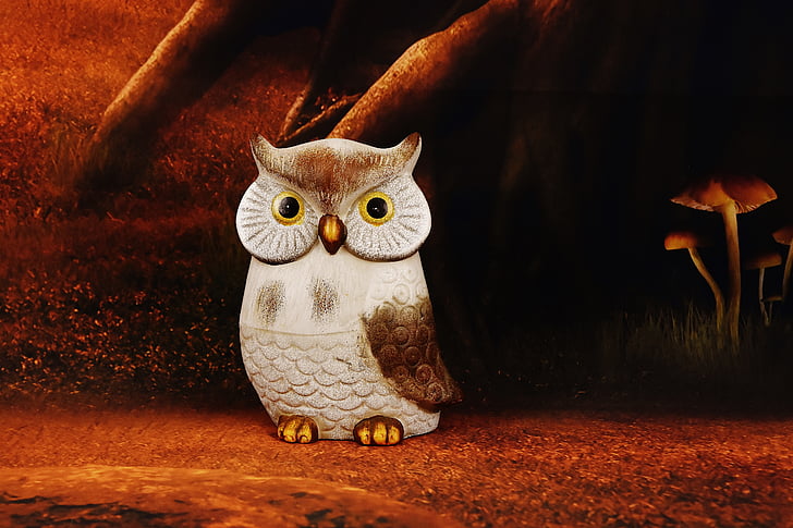 brown and white owl illustration
