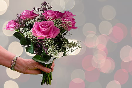person's holding pink rose bouquet