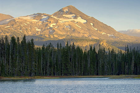 panoramic photo of trees with mountain background