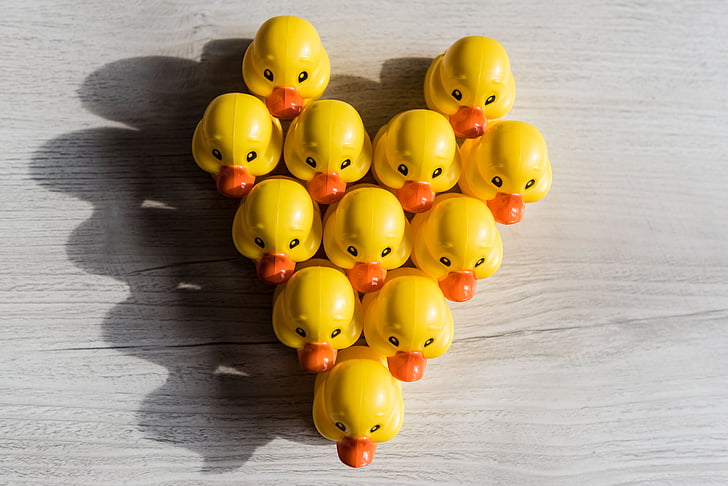 rubber duckies in heart shape