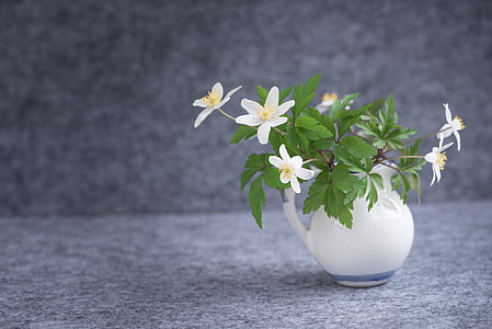 white flower arrangement in vase