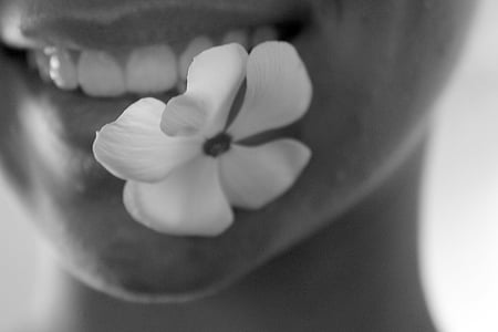grayscale photo of periwinkle flower biting by human