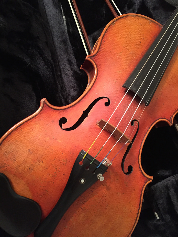 brown violin close up photo
