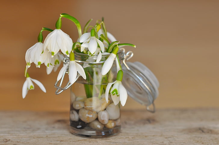 white petal flower in vase filled with water