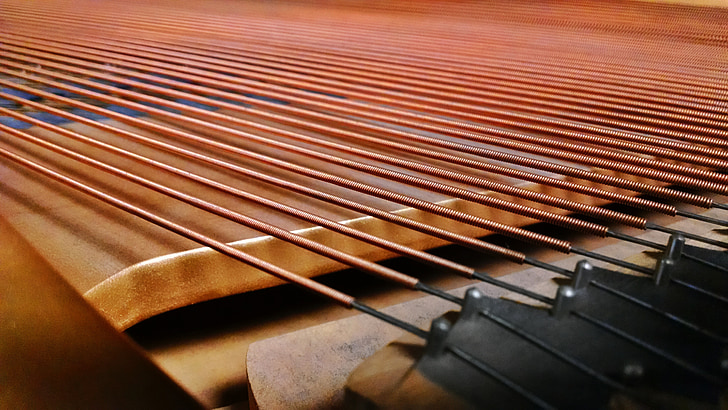 closeup photo of string instrument