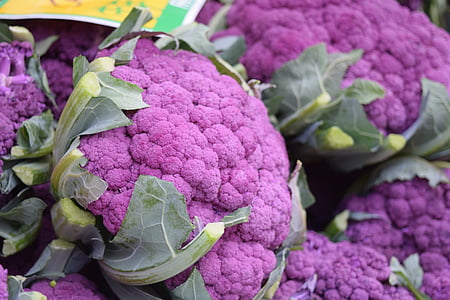 purple cauliflowers photography