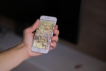 person holding rose gold iPhone 6s