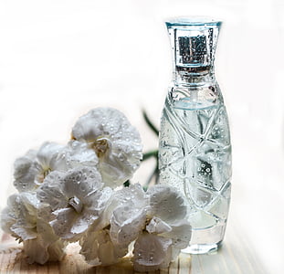 white carnation flowers beside clear cut-glass bottle close up photo