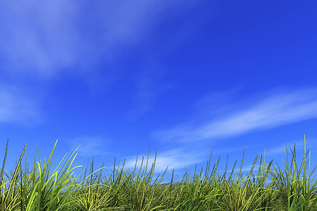 green field with clear sky background