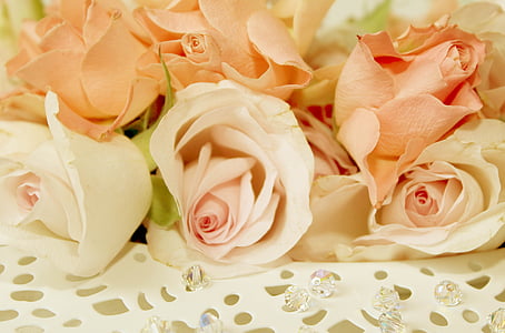 white and pink rose flowers bouquet