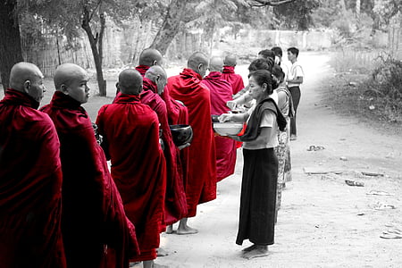 selective color photography of monk