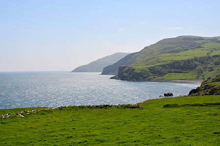 green field beside sea during daytime