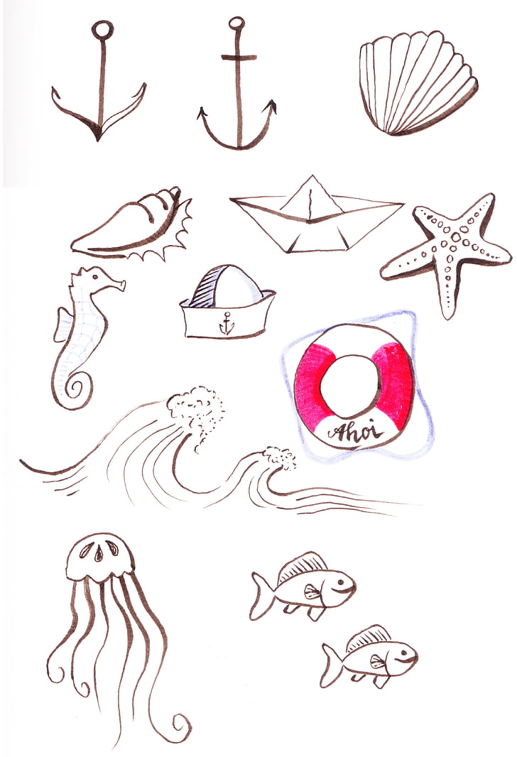 fish, anchor, seahorse and shell illustrations