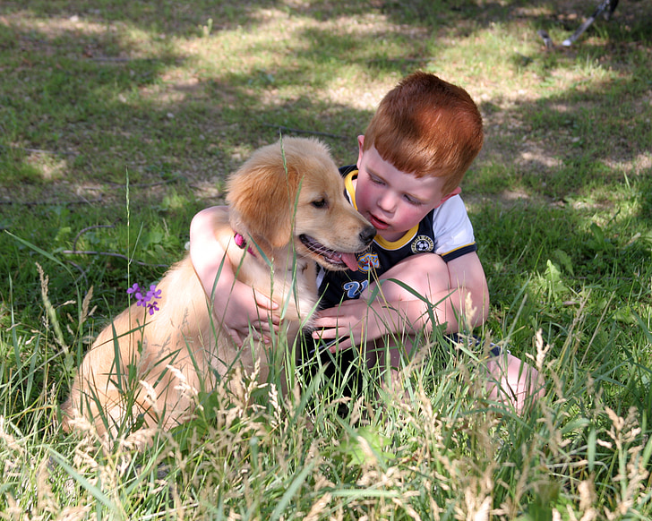 boy beside golden retriever puppy on green grass field