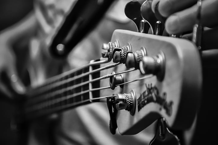 grayscale photography of guitar headstock