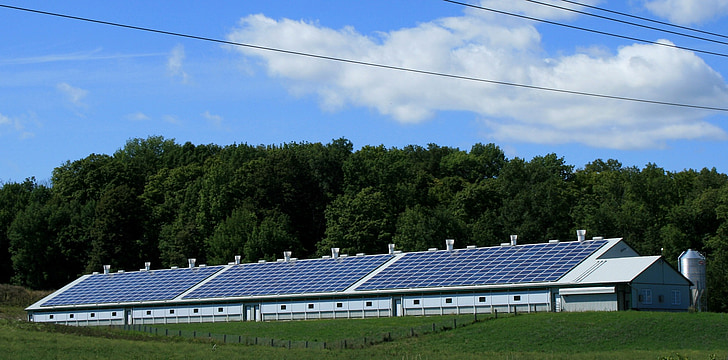 white building filled with solar panels surrounded by trees