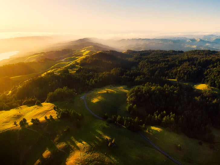 aerial photo of lush field and forest during golden hour