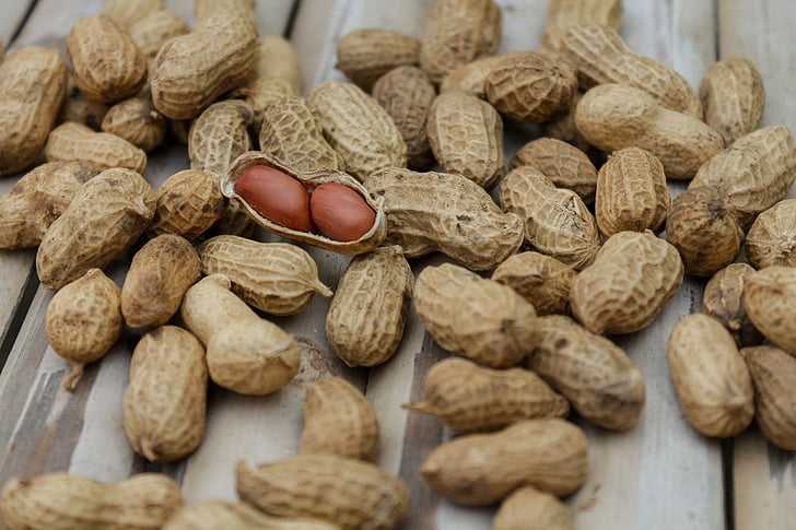 brown peanut s
