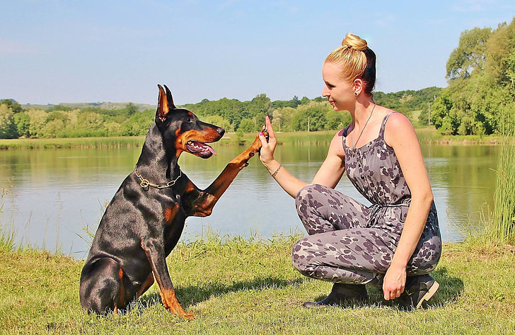 woman in gray and white romper pants high fiving a Doberman Pinscher dog near body of water