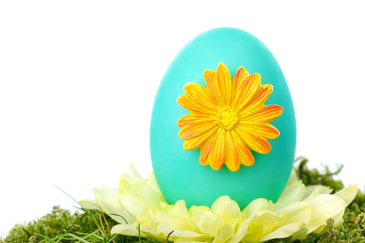 teal egg with orange flower emboss close up photo