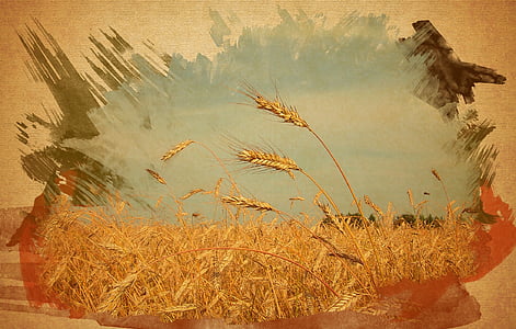 rice field painting