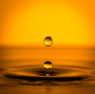 macro photography of yellow liquid droplet