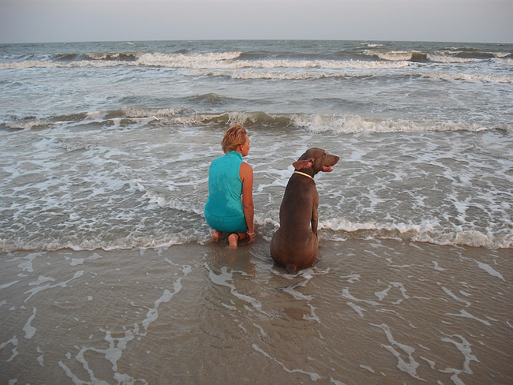 adult chocolate Labrador retriever sitting near the woman on the seashore