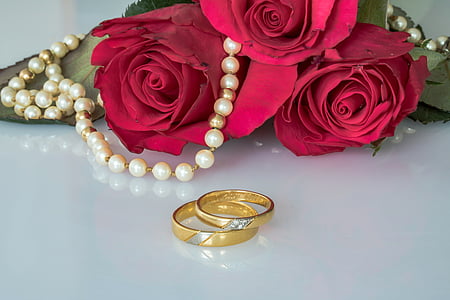 two gold-colored ring near red rose