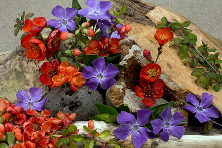 red and purple flowers surrounded by stones