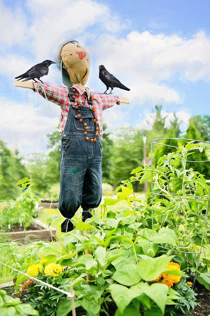 scarecrow near green plants during daytime