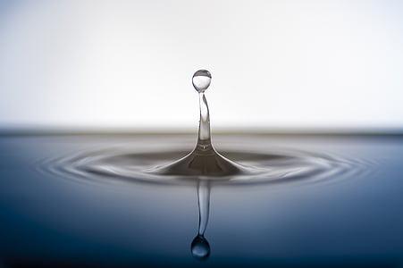 closeup photo of water drop