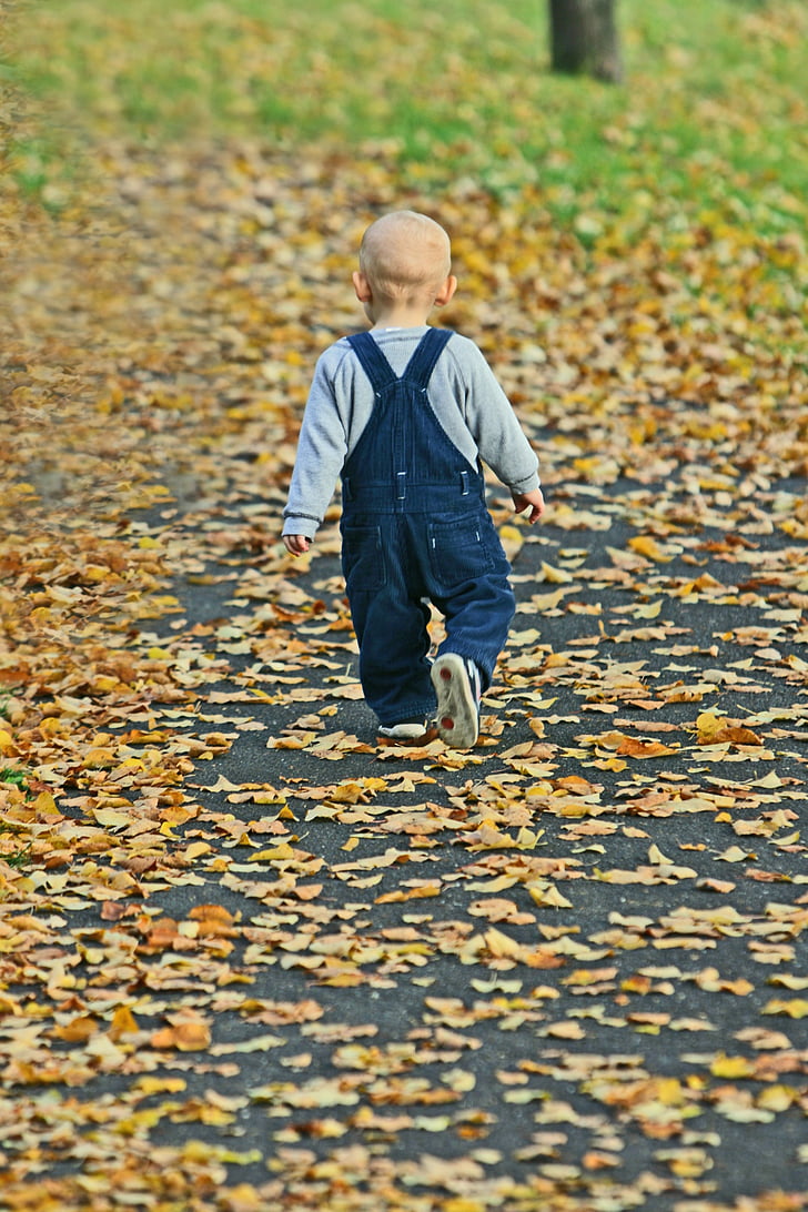 toddler walking on dried leaves covered road
