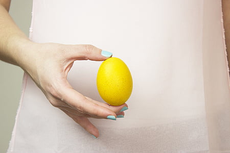person holding brown egg