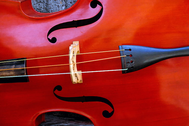 brown stringed instrument