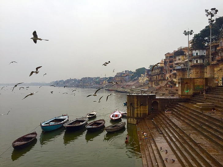 village beside body of water surrounded with boats with birds flying