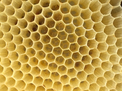 shallow focus photo of bee hive