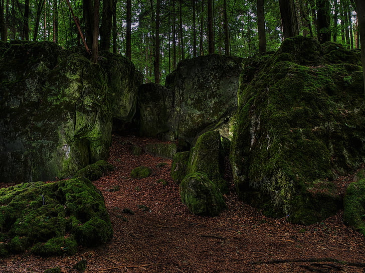 rocks covered by mossy