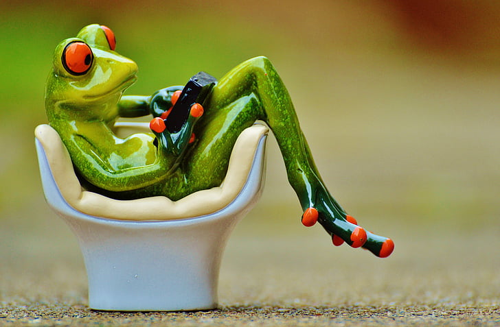 green frog figurine during daytime