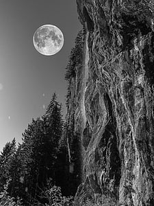 grayscale photo of cliff near tree under full moon