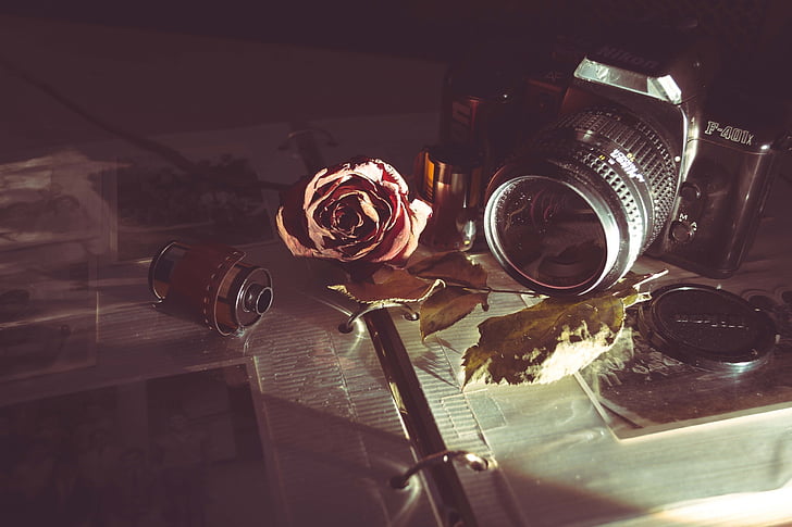 red rose beside a black DSLR camera on an opened photo album closeup photography