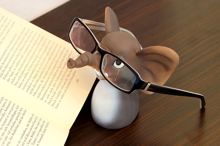 brown and white elephant plastic figure beside book