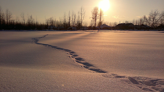 field of snow at sunset