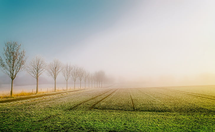 landscape photography of grass field during daytime