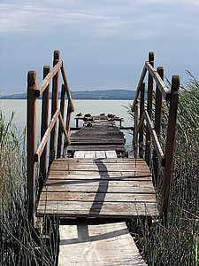 brown wooden dock during daytime