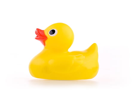 yellow rubber ducky