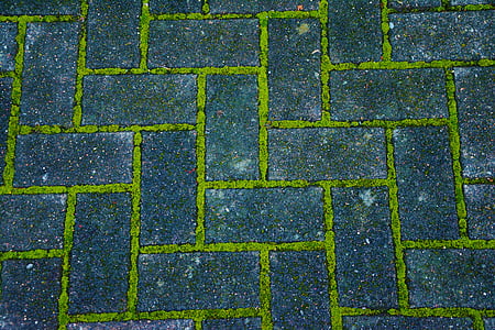 green and grey concrete pavement