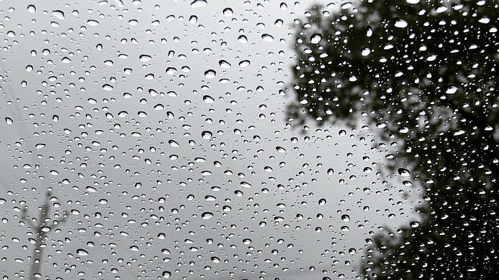 grayscale photo of raindrops