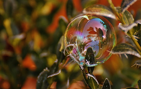 bubble in bokeh photography