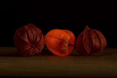 three brown leaves on brown wooden table