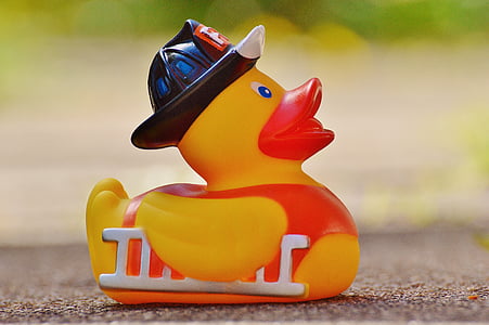 selective focus photography of yellow and red duck figurine